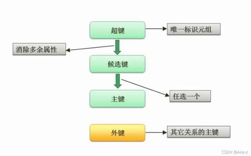 软件设计师视角下的数据库系统 数据处理的核心与挑战