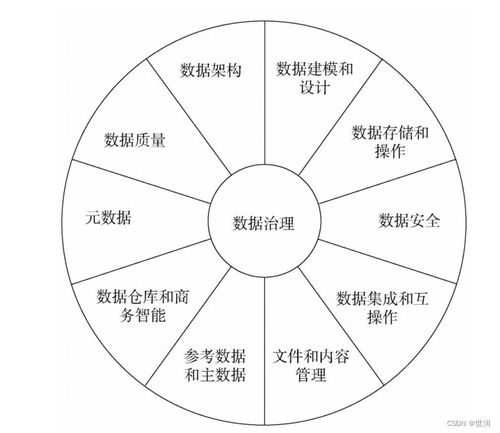 数据治理 构建高效数据处理的核心蓝图